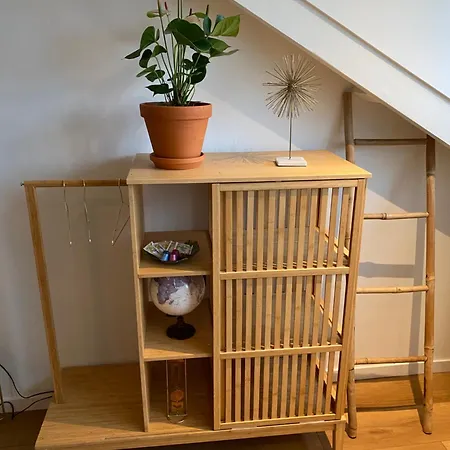 Botanique Den Hoorn (North Holland)