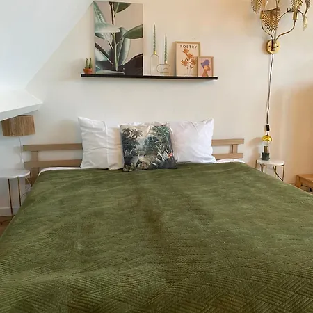 Botanique Guest house *