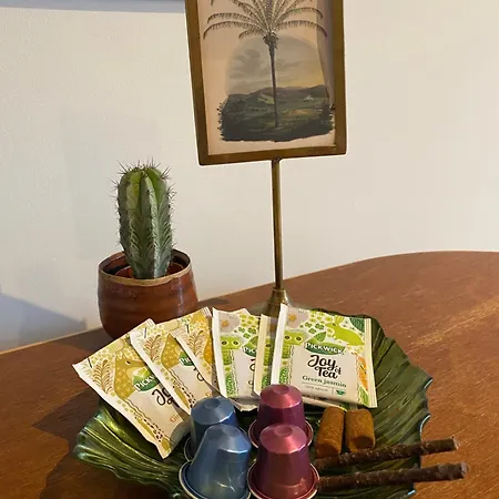 Casa de hóspedes Botanique